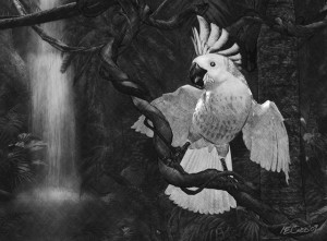 A Talking Bird