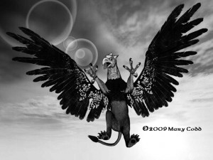 A Griffin